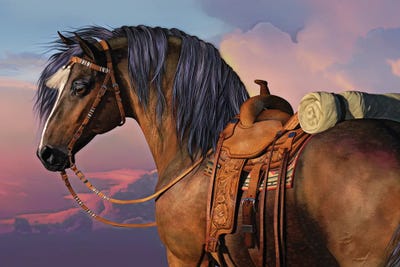 Cowboys Pride by Laurie Prindle canvas print