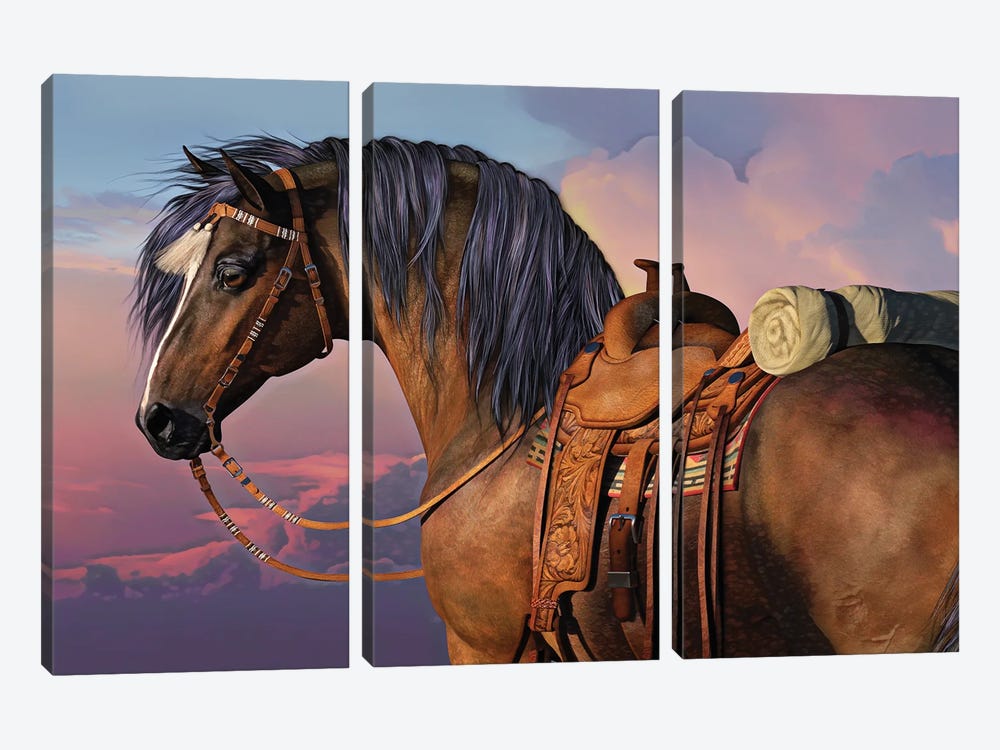 Cowboys Pride by Laurie Prindle 3-piece Canvas Print