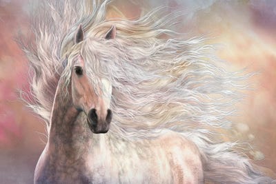 Cielo by Laurie Prindle canvas print