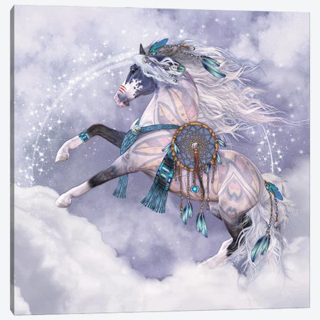 Cloud Dancer Canvas Print #LRP23} by Laurie Prindle Canvas Wall Art