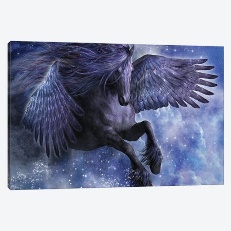 Dark Angel Canvas Print #LRP27} by Laurie Prindle Art Print