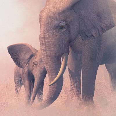 Echo And Ebony by Laurie Prindle canvas print