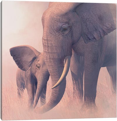 Echo And Ebony Canvas Art Print - Laurie Prindle