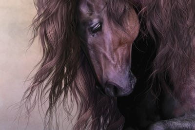 Equus by Laurie Prindle canvas print