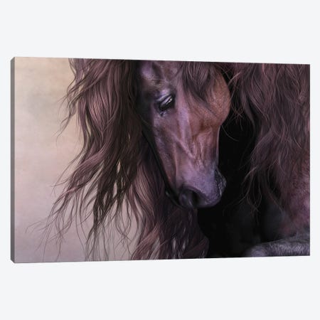 Equus Canvas Print #LRP38} by Laurie Prindle Canvas Print