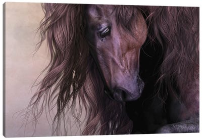 Equus Canvas Art Print - Laurie Prindle