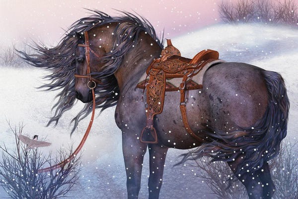 Animal Illustrations: A Winters Encounter by Laurie Prindle