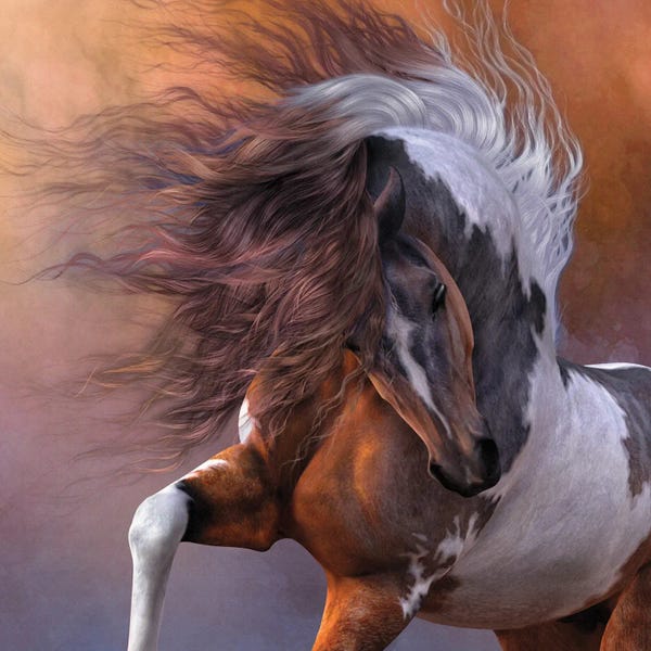 Illustrations: Fiereza by Laurie Prindle