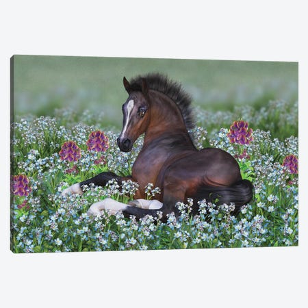 Foal And Flowers Canvas Print #LRP42} by Laurie Prindle Canvas Wall Art