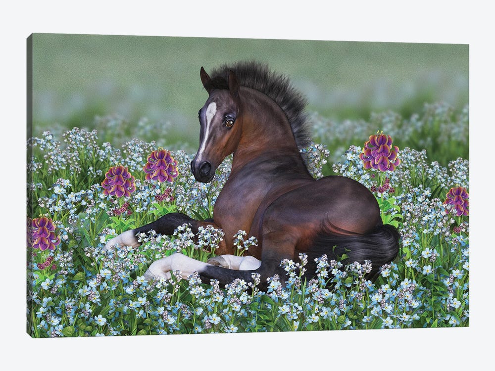 Foal And Flowers by Laurie Prindle 1-piece Canvas Print