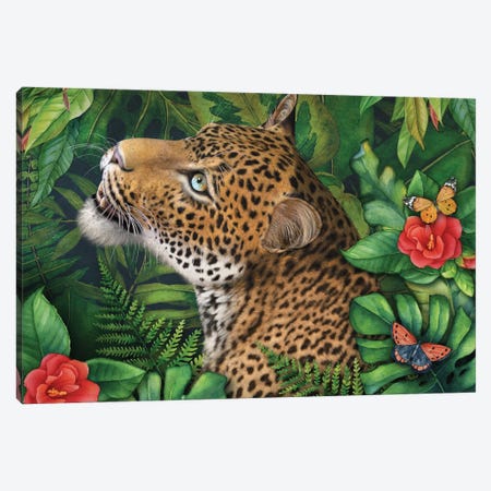 Leopards Gaze Canvas Print #LRP59} by Laurie Prindle Canvas Art Print