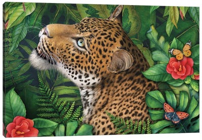 Leopards Gaze Canvas Art Print - Laurie Prindle