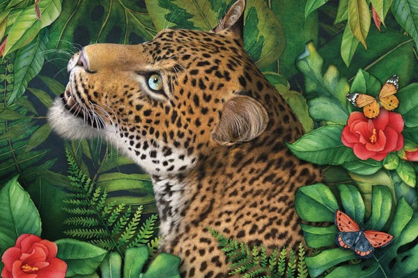 Leopards: Leopards Gaze by Laurie Prindle