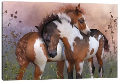 Life Is Good Canvas Art Print - Horse Art