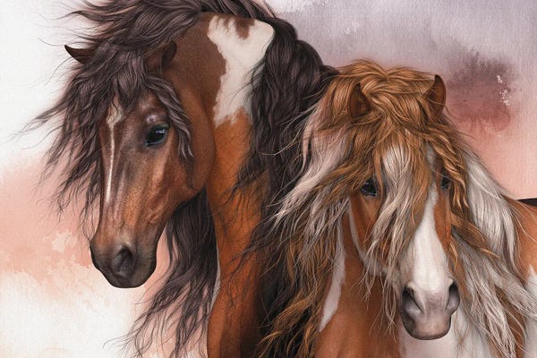 Animal Illustrations: Los Libres by Laurie Prindle