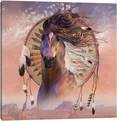 Native Son Canvas Art Print - Dreamcatchers
