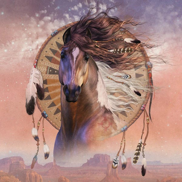 Dreamcatchers: Native Son by Laurie Prindle