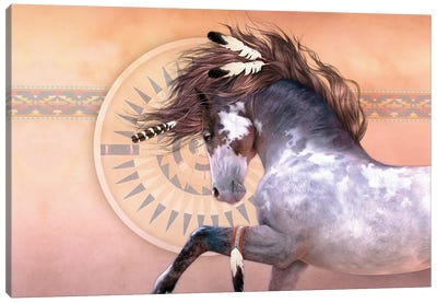 Native Spirit Canvas Art Print - Dreamcatchers