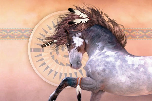 Dreamcatchers: Native Spirit by Laurie Prindle