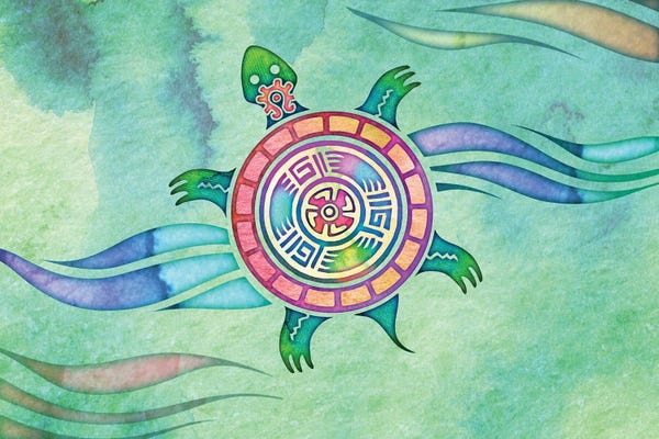 Illustrations: Painted Turtle by Laurie Prindle