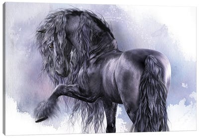 Black Pearl Canvas Art Print - Horse Art