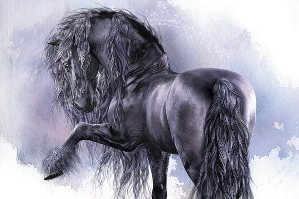 Illustrations: Black Pearl by Laurie Prindle