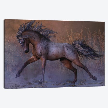 Roan Oake Canvas Print #LRP96} by Laurie Prindle Canvas Artwork