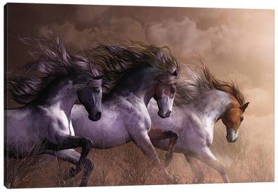 Run To Freedom Canvas Art Print - Horses