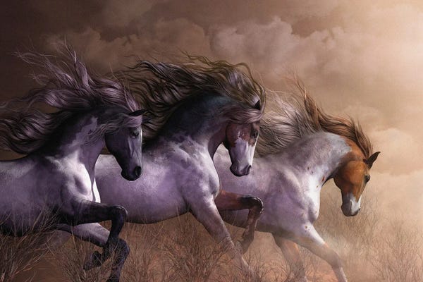 Illustrations: Run To Freedom by Laurie Prindle