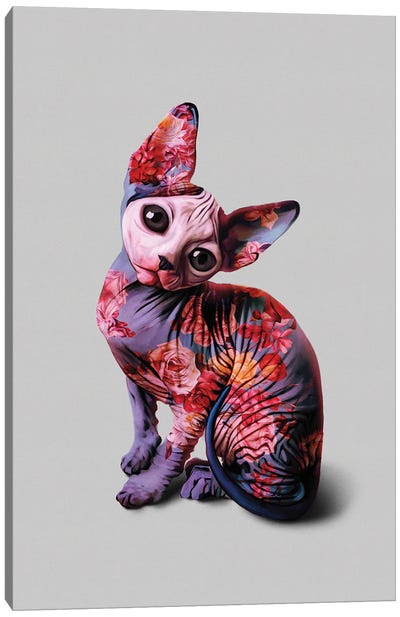 Mephisto Canvas Art Print - Hairless Cat Art