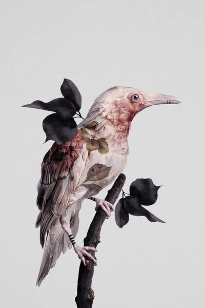 Goth Art: Nevermore by Laura H. Rubin