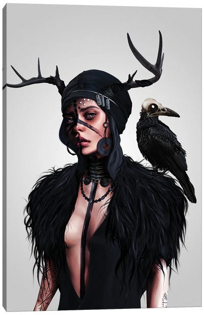Valhalla Canvas Art Print - Raven Art