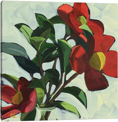 Red Camellias II Canvas Art Print - Mónica Linares