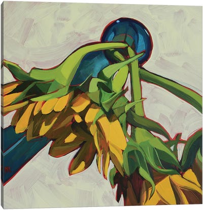 Three Sunflowers Canvas Art Print - Mónica Linares