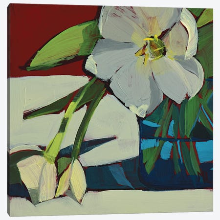 Three White Tulips Canvas Print #LRS22} by Mónica Linares Art Print