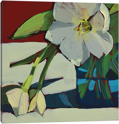 Three White Tulips Canvas Art Print - Mónica Linares