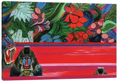 Apes In The River II Canvas Art Print - Larisa Lavrova