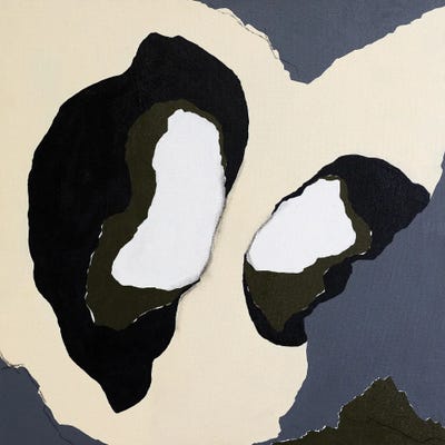 Caves by Laura Welshans framed canvas print