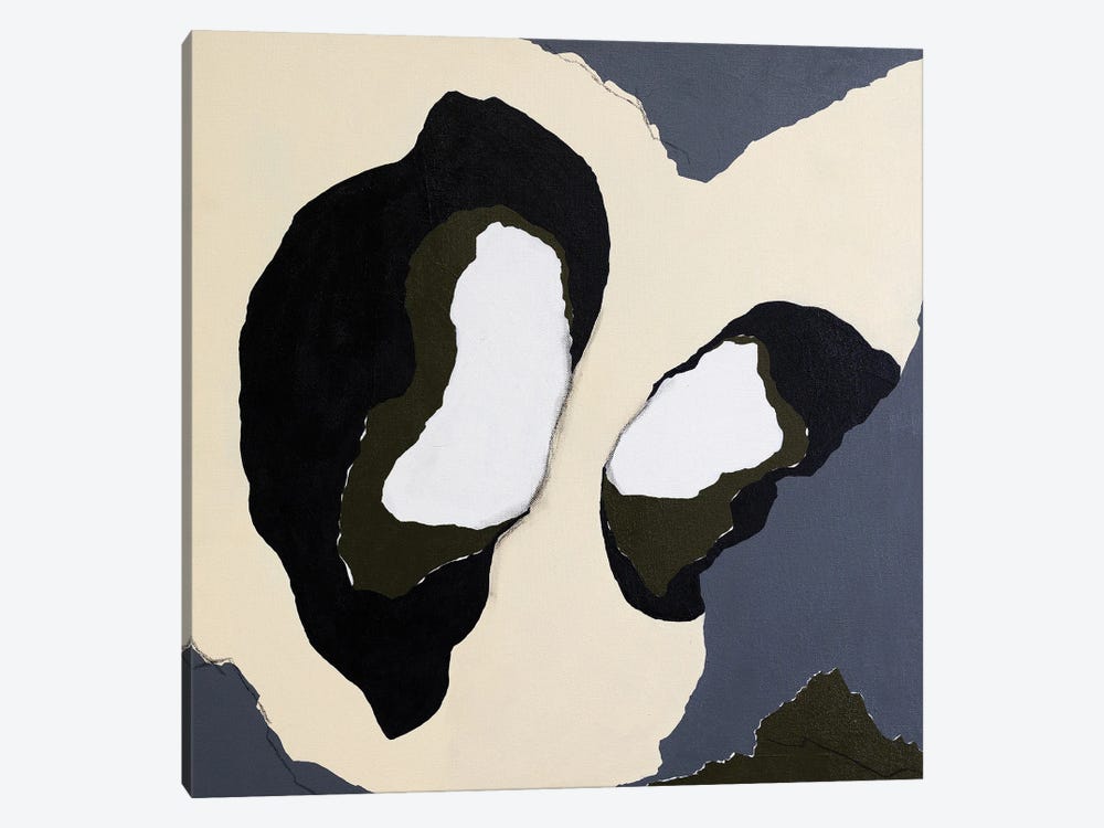 Caves by Laura Welshans 1-piece Canvas Artwork