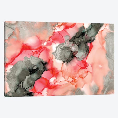 Coral Beauty Canvas Print #LRX60} by Amber Lamoreaux Canvas Art