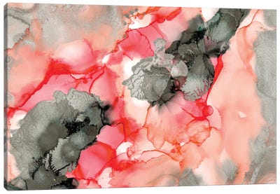 Coral Beauty Canvas Art Print - Amber Lamoreaux