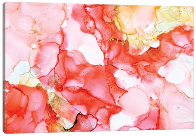 Coral Echoes I Canvas Art Print - Amber Lamoreaux