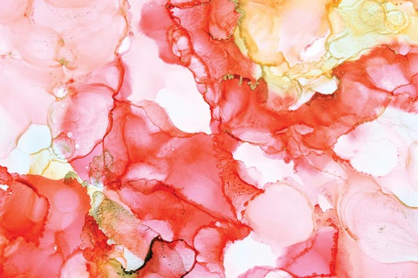 Amber Lamoreaux: Coral Echoes I by Amber Lamoreaux