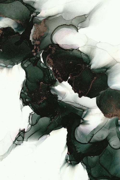 Light And Shadow by Amber Lamoreaux wall art