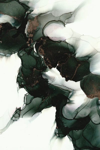 Amber Lamoreaux: Light And Shadow by Amber Lamoreaux