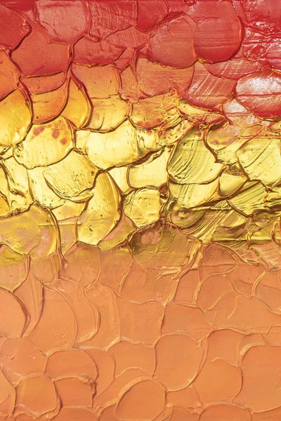 Amber Lamoreaux: Pink Paradise by Amber Lamoreaux