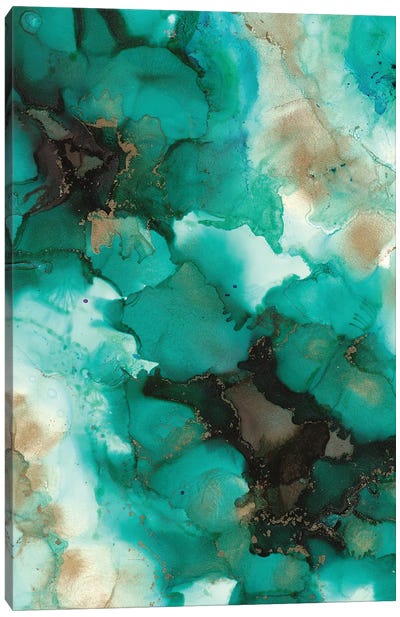 Turquoise Borealis Canvas Art Print - Amber Lamoreaux