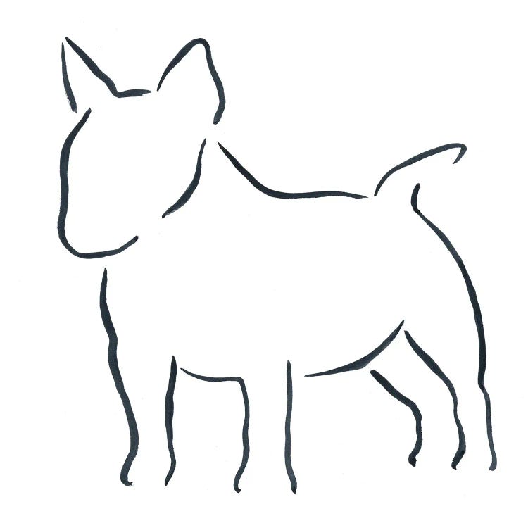 Miniature Bull Terrier