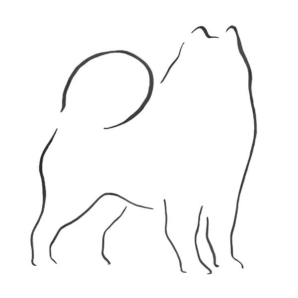 Lesley Bishop: Samoyed by Lesley Bishop