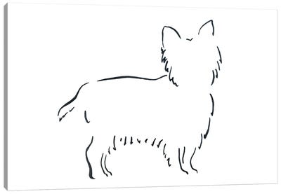 Short Haired Yorkshire Terrier Canvas Art Print - Lesley Bishop